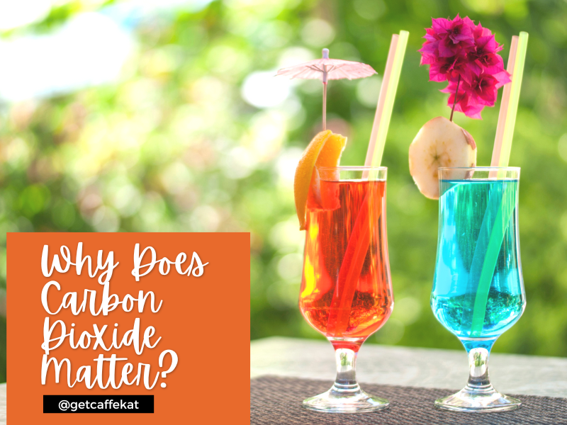 Why Does Carbon Dioxide Matter?